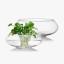 Glass Pot ծաղիկների | ծաղկեպսակների առաքում Երևան