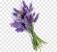 Lilac ծաղիկների | ծաղկեպսակների առաքում Երևան
