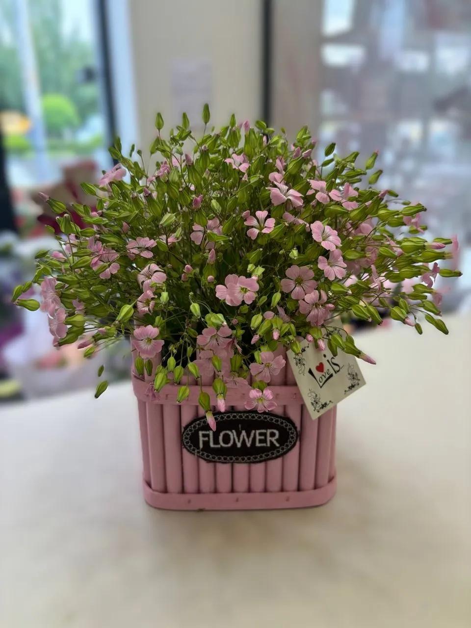 Flowers in a box | ծաղիկներ, ծաղկեպսակներ, բույսեր Երևան