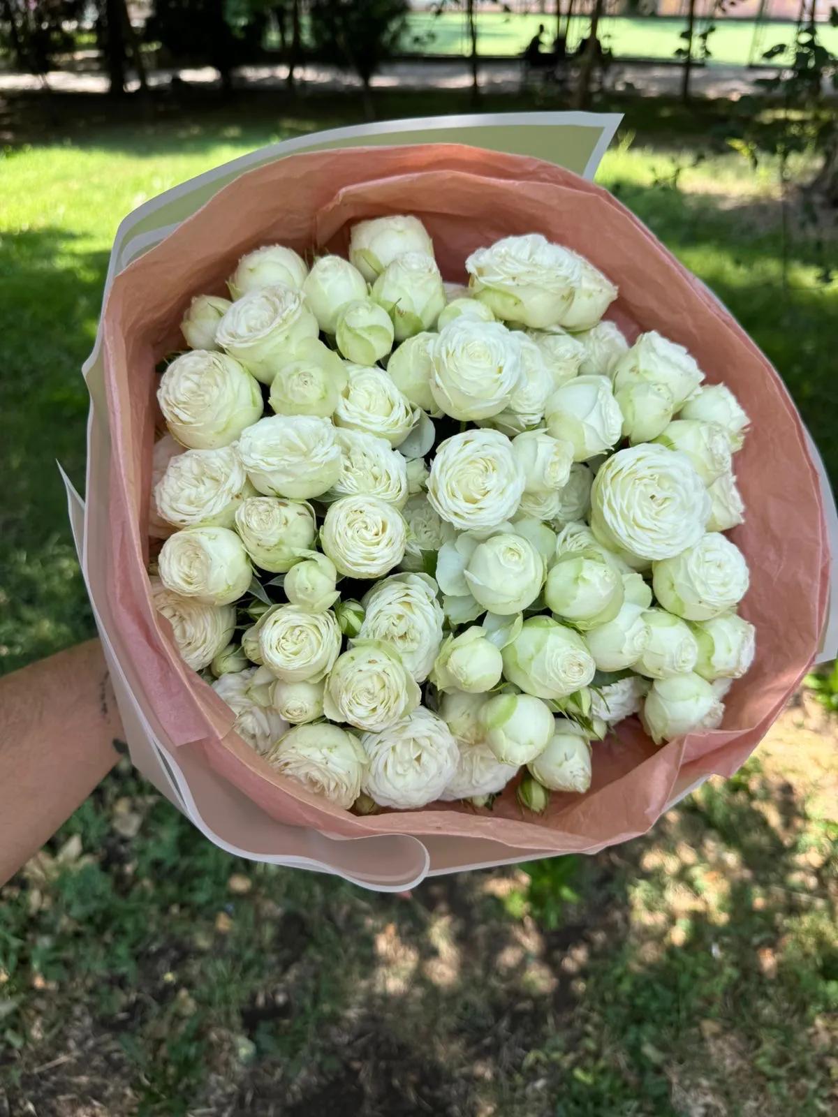 White peonies | ծաղիկներ, ծաղկեպսակներ, բույսեր Երևան