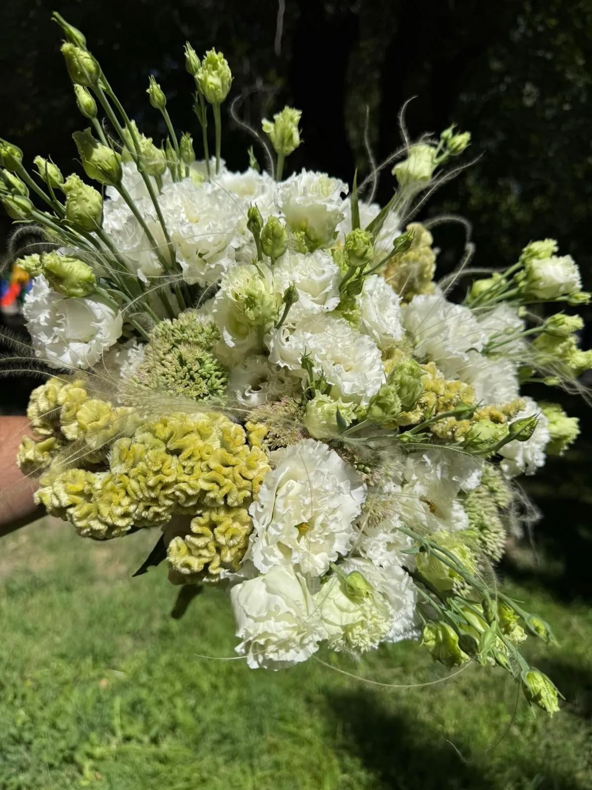 Lisianthus and Celosia | ծաղիկներ, ծաղկեպսակներ, բույսեր Երևան