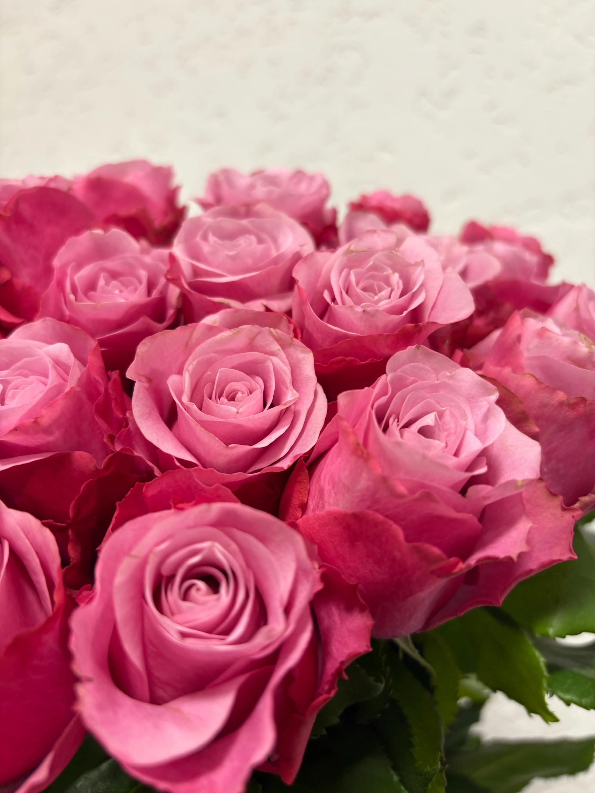 Bunch of roses | ծաղիկներ, ծաղկեպսակներ, բույսեր Երևան