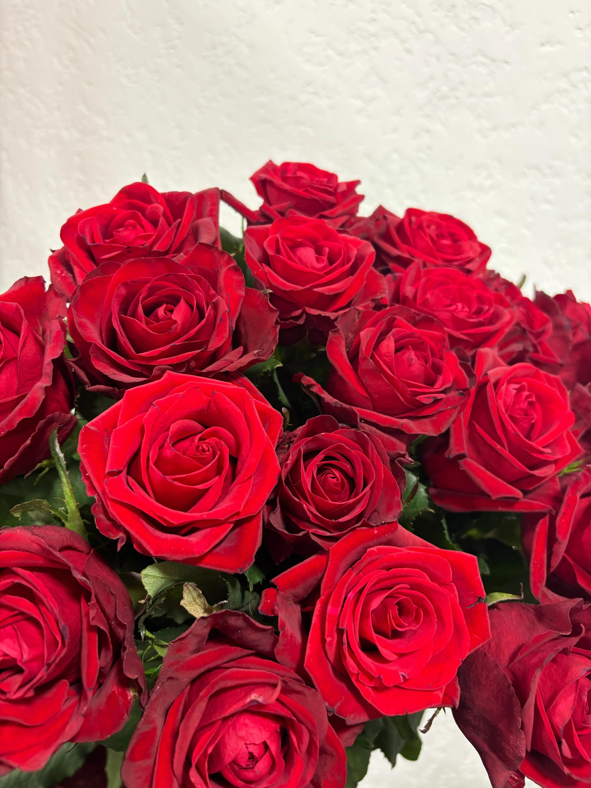Bunch of roses | ծաղիկներ, ծաղկեպսակներ, բույսեր Երևան