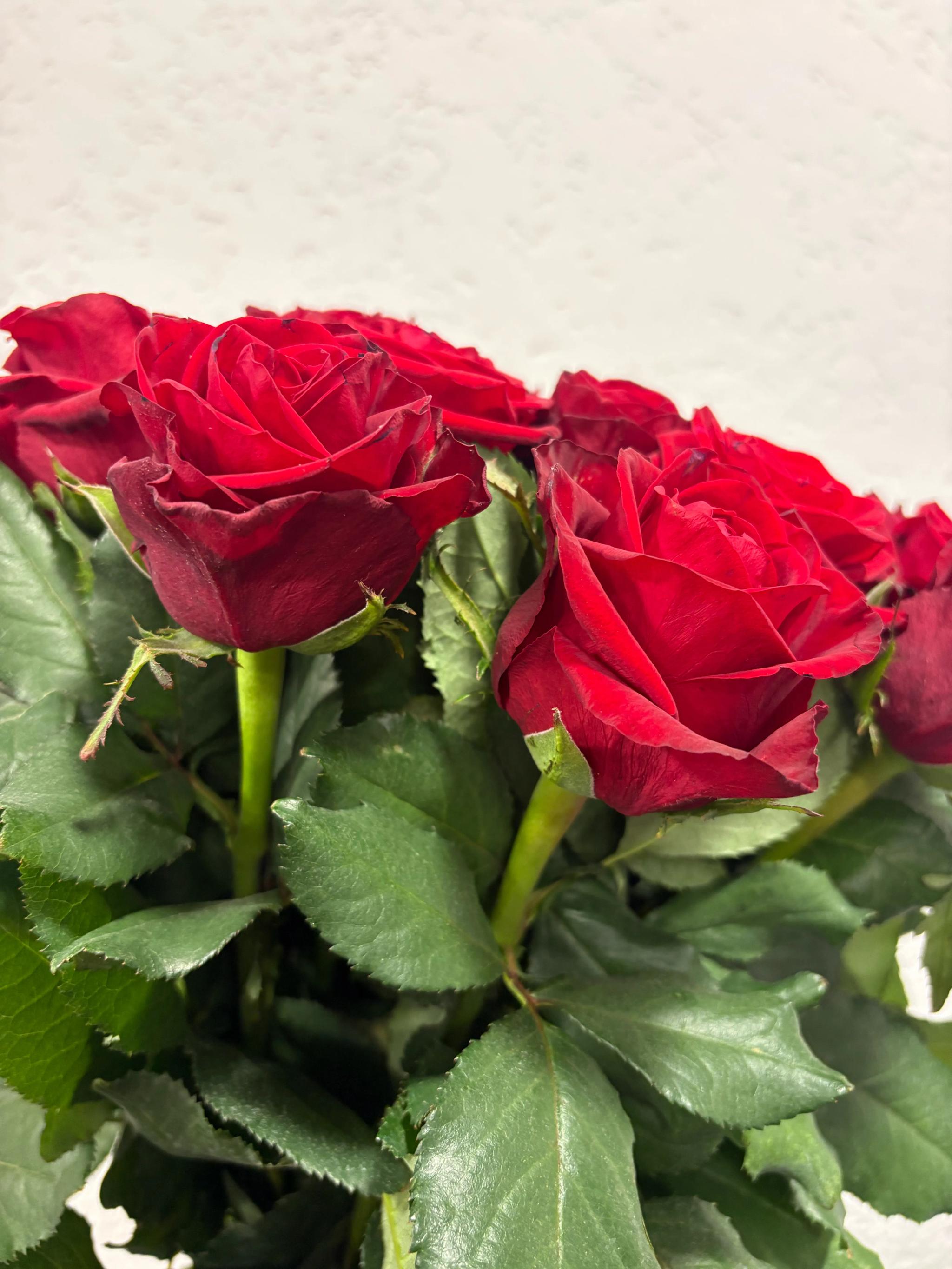 Bunch of roses | ծաղիկներ, ծաղկեպսակներ, բույսեր Երևան