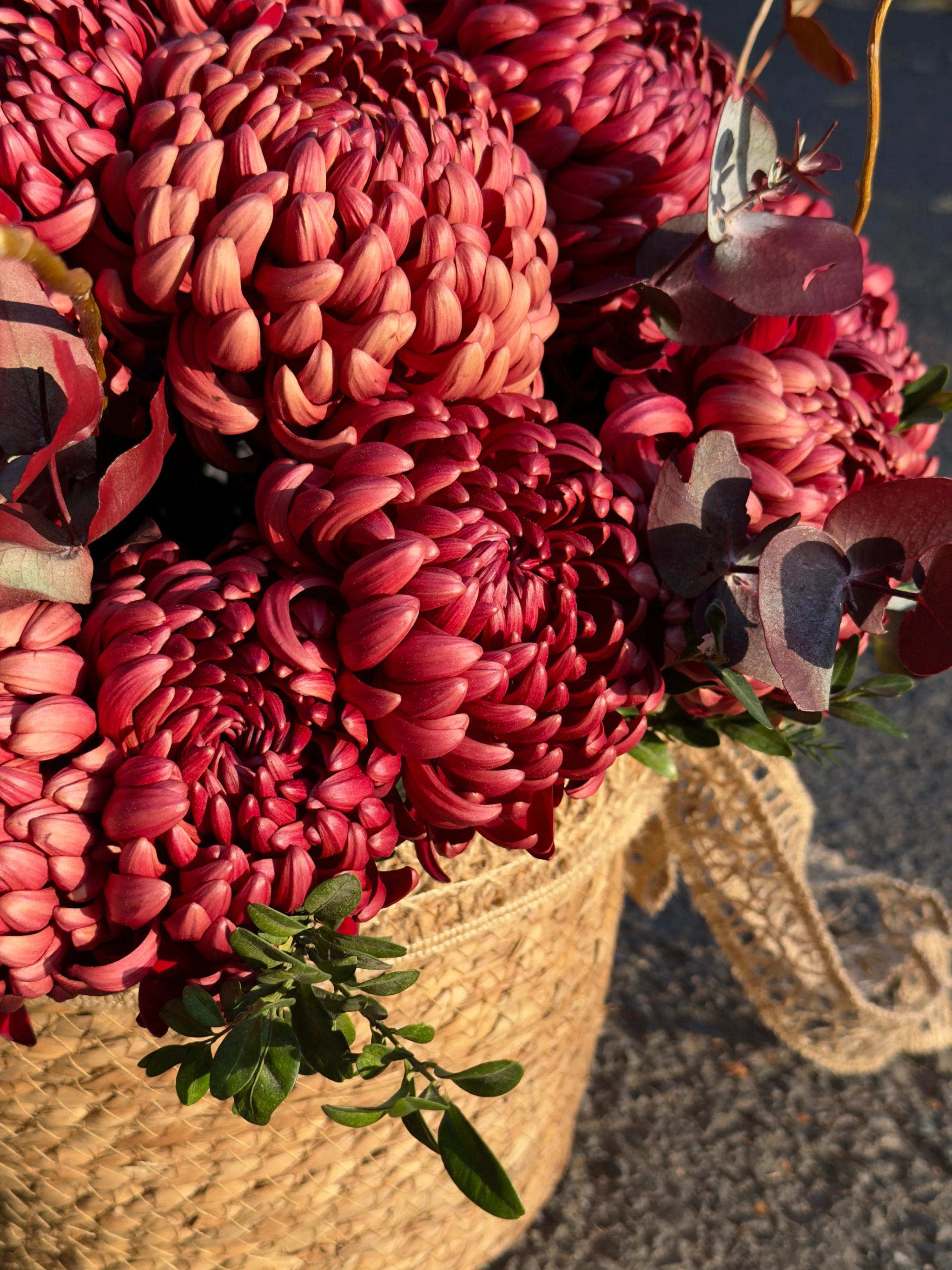 A basket of chrysanthemums | ծաղիկներ, ծաղկեպսակներ, բույսեր Երևան