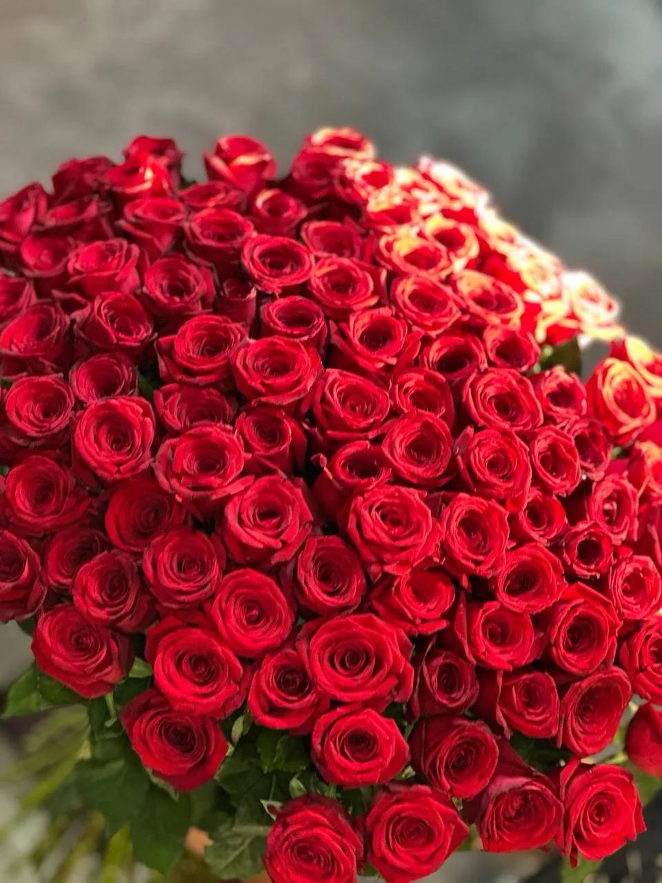 Red gorgeous roses | ծաղիկներ, ծաղկեպսակներ, բույսեր - առաքում Երևան
