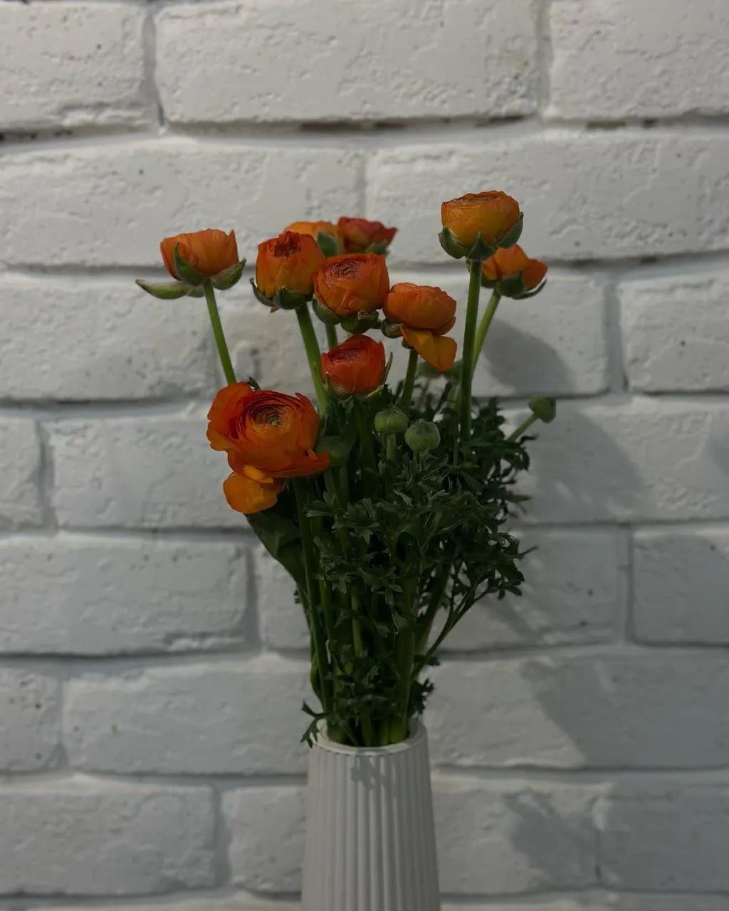 Orange Ranunculus | ծաղիկներ, ծաղկեպսակներ, բույսեր Երևան