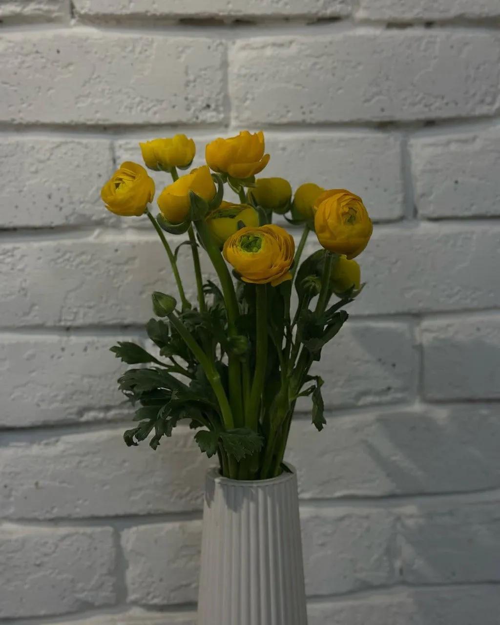 Yellow Ranunculus | ծաղիկներ, ծաղկեպսակներ, բույսեր - առաքում Երևան