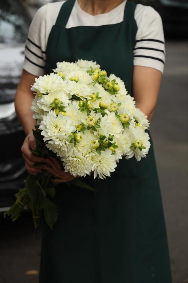 A bunch of white chrysanthemums | ծաղիկներ, ծաղկեպսակներ, բույսեր - առաքում Երևան