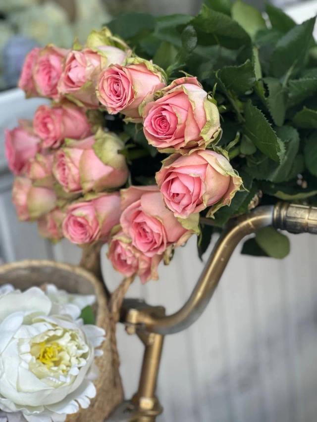 Bunch of roses | ծաղիկներ, ծաղկեպսակներ, բույսեր - առաքում Երևան Bunch of roses | ծաղիկներ, ծաղկեպսակներ, բույսեր - առաքում Երևան