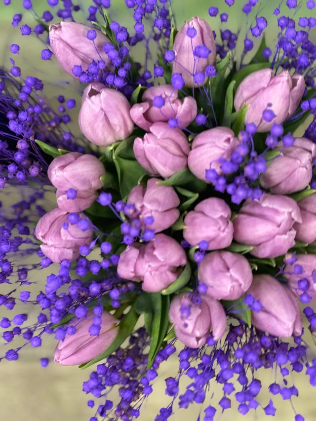 Blue tulips | ծաղիկներ, ծաղկեպսակներ, բույսեր - առաքում Երևան Blue tulips | ծաղիկներ, ծաղկեպսակներ, բույսեր - առաքում Երևան