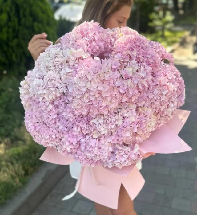 Bunch of hydrangeas | ծաղիկներ, ծաղկեպսակներ, բույսեր - առաքում Երևան Bunch of hydrangeas | ծաղիկներ, ծաղկեպսակներ, բույսեր - առաքում Երևան