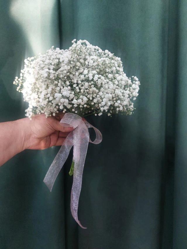 Gypsophilia | ծաղիկներ, ծաղկեպսակներ, բույսեր - առաքում Երևան Gypsophilia | ծաղիկներ, ծաղկեպսակներ, բույսեր - առաքում Երևան